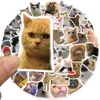 ZK20 50PCS Cute Cat Stickers Vinyl Waterproof Funny Cats Decals for Water Bottle Laptop Skateboard Scrapbook Luggage Kids Toys