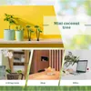 Dekorativa blommor Plastiska kokosnötpalmträd Miniatyrkrukor Bonsai Craft Micro Landscape Diy Decor Artificial