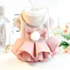 Vêtements pour chiens Automne Hiver Chien Chat Vêtements Épais Princesse Jupe Doux Bowknot Robe Vêtements Teddy Pet Chien Vêtements pour Petits Chiens 231114