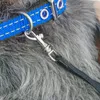 Cão de estimação dobrável viagem ombro bolsa transporte para gatinho filhote cachorro bolsa respirável portátil ao ar livre acessórios suprimentos 231114