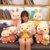 Plush Dolls 23CM Fruit Animal Toy Pig Rabbit Strawberry Pineapple Style Soft Doll To Send Children s birthday gifts 231115