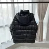 Stylish Ultimate Protection Men Windproof Coat for Extreme Weather Casual Women Hooded Puff Down Jacket with Embroidery Emblem 23FW