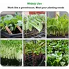 Fioriere Vasi Serra Seme Starter Vassoi per piantine Fiore Germinazione delle piante Grow Box Vivaio Vaso da giardinaggio 230414