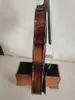 Violon Master 4/4 modèle Stradi, dos en érable flammé, table en épicéa, fabriqué à la main K3008