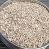 Polvere di guscio da 1-5 mm, additivo integratore di calcio per pollame, polvere fine, alto contenuto di calcio