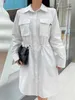 Basic & Casual Dresses designer 2023 Autumn/Winter New Polo Collar Long Sleeve Dress Women's Windbreaker Coat A-line Drawstring Waist Slim Skirt FAEV