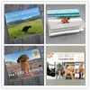 Calendar 2024 Wall Dog Pooping Monthly Funny Hangable Paper for Home Livingroom Bedroom Year Decor 231114