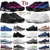 TN Plus Running Shoes Men TNS 25 -årsjubileum Växla verktyg Onyx Stone Fc Triple White Black Red Metallic Silver Grey Olive Reflective House Blue Women Sneakers