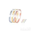 Paren dikke armbanden liefde armbanden eenvoudige diamant titanium staal schroevendraaier cadeau ijs uit persoonlijkheid modieuze dames multicolor armbanden ZB001 F23