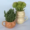 花瓶クリエイティブアブストラクトチェストセラミック植木鉢磁器マグカウンタートップデコレーショングリーン植物サボテンアートホーム