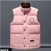 Luxe Designer Down Goose Vest 2024 Heren Dames Pufferjack Parka's 22 Glacier Series Donsvesten