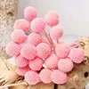 Dekorativa blommor bevarade nrturala craspedia Billy Balls Ballwedding Party Table Centerpiece Harvest Wreath Boho Farmhouse Diy Decoration