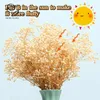 Decorative Flowers Natural Fresh Dried Preserved Gypsophila Bouquet Valentine's Day Gift Eternal Baby Breath Boho Wedding Home Decoration