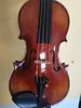 Ny 4/4 Violin Totoise Crack Style Flamed Maple Back Spruce Top Hand Made K2771