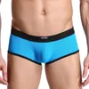 Underpants 2023 Fashion Men Boxer Shorts Sexy Transparent Man Boxers Gay Mens Underwear Mesh Homme Panties
