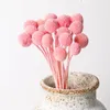 Decoratieve bloemen bewaard gebleven Nrtural Craspedia Billy Balls BallWedding Party Table Centerpiece Oogstkrans Boho Boerderij DIY Decoratie