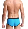 Underpants 2023 Модные мужские боксерские шорты сексуальный прозрачный мужчина боксеры гей -мужские нижнее белье сетка homme трусики