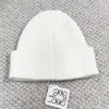 Зимняя вязаная шапочка дизайнерская шляпа шляпа Bonnet Drest Men Men Men Women Brand Brand Вышивая шапки черепа на открытом воздухе лыж