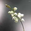 Dekorativa blommor mbf grossist högkvalitativ verklig beröring vit konstgjord orkidé yucca för heminredning