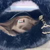 Celebrity Hobo Handbag Designer Fur bag Shoulder Bag C High grade Wool Womens Chain Shoulder Bag Underarm Bag Fashion Mini Autumn Winter Crossbody Bag Princess Bag