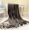 Top Quality Double-Layer Composite Mink Fur Fabric Blanket Bejirog Leisure Sofa Cover Air Conditioning Blanket Nap Blanket Gift Wholesale