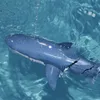 ElectricRC Animaux Drôle RC Requin Jouet Télécommande Robots Baignoire Piscine Jouets Électriques Pour Enfants Garçons Enfants Cool Stuff Requins Sous-Marin 231114