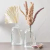 花瓶のデザートバー装飾ガラス花瓶クリエイティブホームリビングルーム水耕栽培緑の植物ボトル小さい