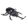 ElectricRC Animaux Éclairage Infrarouge RC Beetle Simulatif Télécommande Animal Jouet Électrique avec Son Drôle Nouveauté Terrifiant Noël Enfant Cadeau 231115