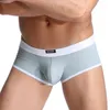 Underpants 2023 Модные мужские боксерские шорты сексуальный прозрачный мужчина боксеры гей -мужские нижнее белье сетка homme трусики