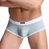 Underpants 2023 Fashion Men Boxer Shorts Sexy Transparent Man Boxers Gay Mens Underwear Mesh Homme Panties