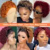 Synthetic s Kinky Curly Short Bob Lace Front Remy Human Hair Preplucked Glueless Pixie Cut 13X1 Jerry Curl Frontal Ready To Wear 231114