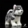 Pluche poppen Alaskan Malamute Anime Schattig knuffelhond Knuffels Levensechte dieren Simulatie Gevulde pop Kawai Speelgoedcadeaus Kinderen 231114