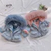 Giacche invernali neonata calda giacca di jeans spessa pelliccia con cappuccio bambina bambina tuta sportiva del bambino giacca di jeans cotone bambini ragazzi parka bambini J231115