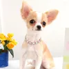 Obroże dla psów Bling Diamond Chain kołnierz Crystal Rhinestone Pet Naszyjnik luksus lśniący dla małych średnich psów kot Chihuahua