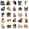 ZK20 50PCS Cute Cat Stickers Vinyl Waterproof Funny Cats Decals for Water Bottle Laptop Skateboard Scrapbook Luggage Kids Toys
