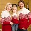 Family Matching Outfits Full Sleeve Sweater Mom Knitted Dress Soft and Warm Thick Jumper Christmas Appearance Winter Dad Child Turtle Neck 231115