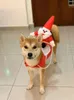 Ubrania psa psa ubrania świąteczne kowboja jazda konia zabawny kostium Świętego Mikołaja dla psów Nowość Chihuahua Cosplay Costume Cat Cat Odzież 231114