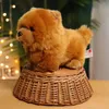 Bambole di peluche di alta qualità carino soffice animale Chow Dog peluche bambole di cuccioli di animali domestici adorabili per la tua piccola ragazza ragazzo regalo di compleanno 231114