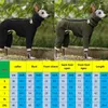 Dog Apparel Fashion Soild Greyhound Doberman Coat Pet Winter Fleece Turtleneck Vest Jacket Whippet Gree Dog Jumper Winter Warm Dog Clothes 231114