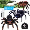 ElectricRC Animals Animal Remote Control Cockroach Toy Infrared Trick Terrifying Mischief Kids Toys Funny Novelty Children Gift RC Spider Ant 231114
