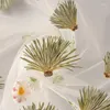 Decorative Flowers 120pcs Pressed Dried Pine Needle Leaf Flower Plant Herbarium For Jewelry Po Frame Phone Case Bookmark Making DIY