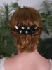 Pinces à cheveux, accessoires de mariage, feuilles, peigne en cristal noir, bijoux tendance, couvre-chef de mariée faits à la main, diadème de noël