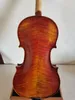 Master 4/4 Violin Solid Famed Maple Back Spruce Top Complete Hand Made K2911