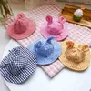 Chien vêtements rétro oreille Plaid ombre réglable chat accessoires Sunhat Pet chapeau casquette soleil protection