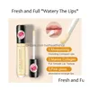 Lipgloss Lip Maximizer Lipgloss Hydraterende Verbetering Glans Tint Verhogen Elasticiteit Repareren Fleuren Olie Verzorging 6 Stuks Drop Leveren Dhbec