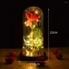 Fleurs décoratives belle batterie alimenté LED rose bouteille en verre chaîne lumière cadeau d'anniversaire décoration de la maison lampe de bureau romantique