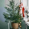 Opslagflessen Kerst Micro Landschap Bomen Decoratie Hulstbladeren Ornamenten Mini Hars Bessen Versieringen Decors Groene Krans