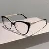 Sunglasses Vintage Oversized Cat Eye Spectacles Stylish Blue Light Blocking Eyeglasses Trendy Brand Designer Candy Color Computer Eyewear