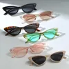 Sunglasses Fashion Design Triangle Frame Ladies Luxury Vintage Cat Eye Party Eyewear Ultralight Retro UV400 Sun Glasses Shades