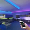 Strips LED Strip Lights Bluetooth SMD Flexible Tape Ribbon Diode Phone APP Control With Adapter For Bedroom BacklightsLED StripsLED